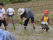 子供農園田植え